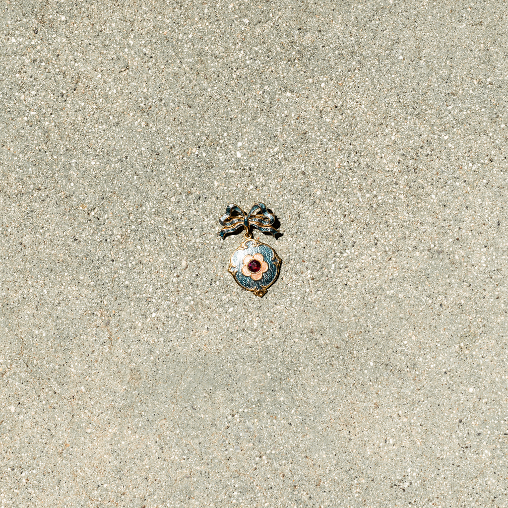 Small object resembling a spider on sandy ground