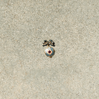 Small object resembling a spider on sandy ground