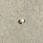 Two gold rings on a concrete surface