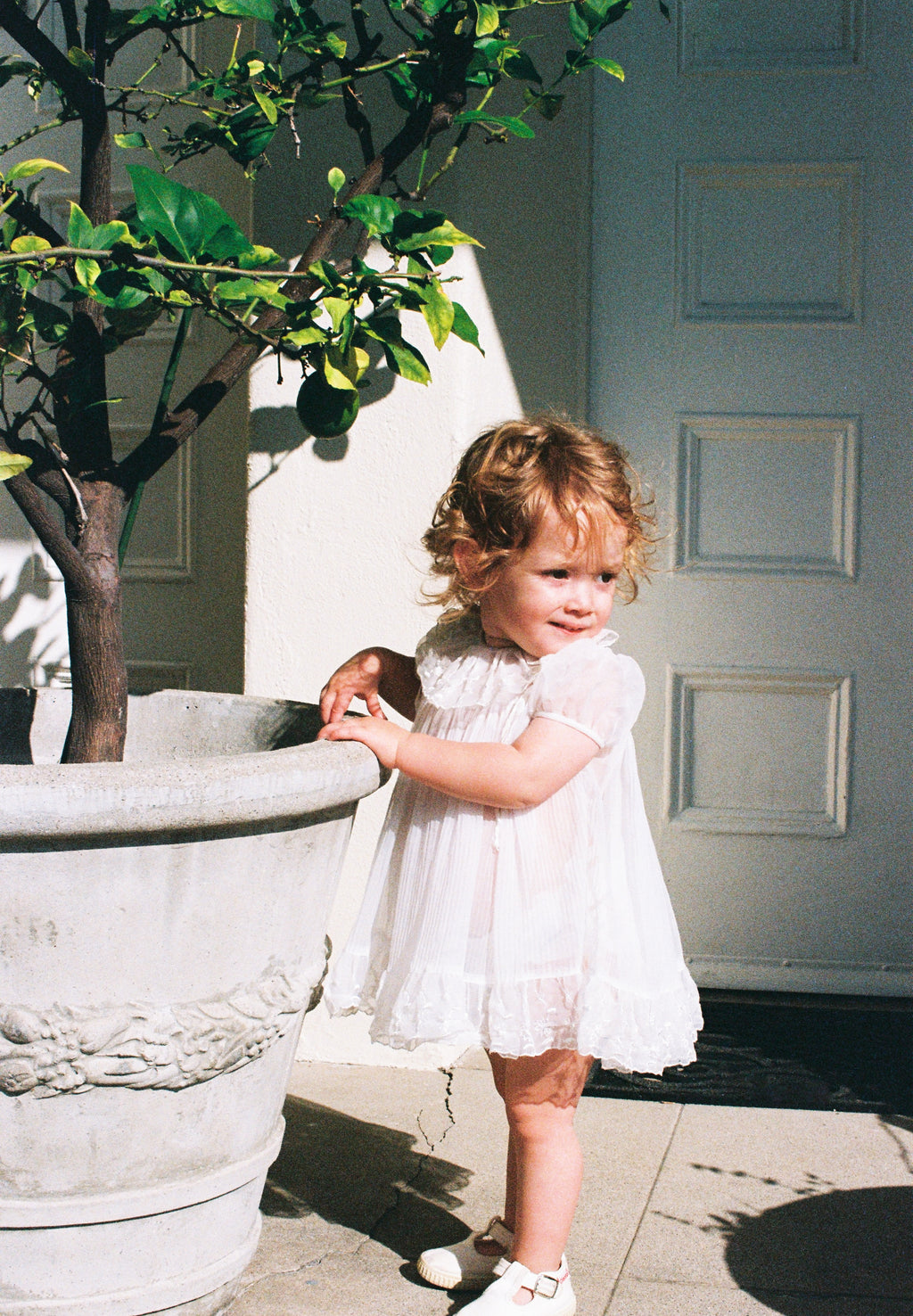 Young girl in a white dress standing next to a potted plant on a sunny day.