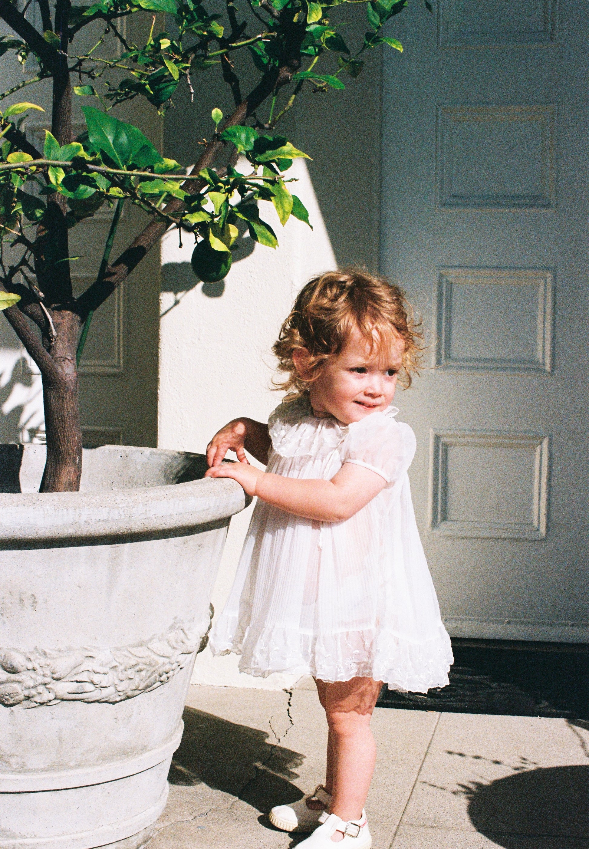Young girl in a white dress standing next to a potted plant on a sunny day.
