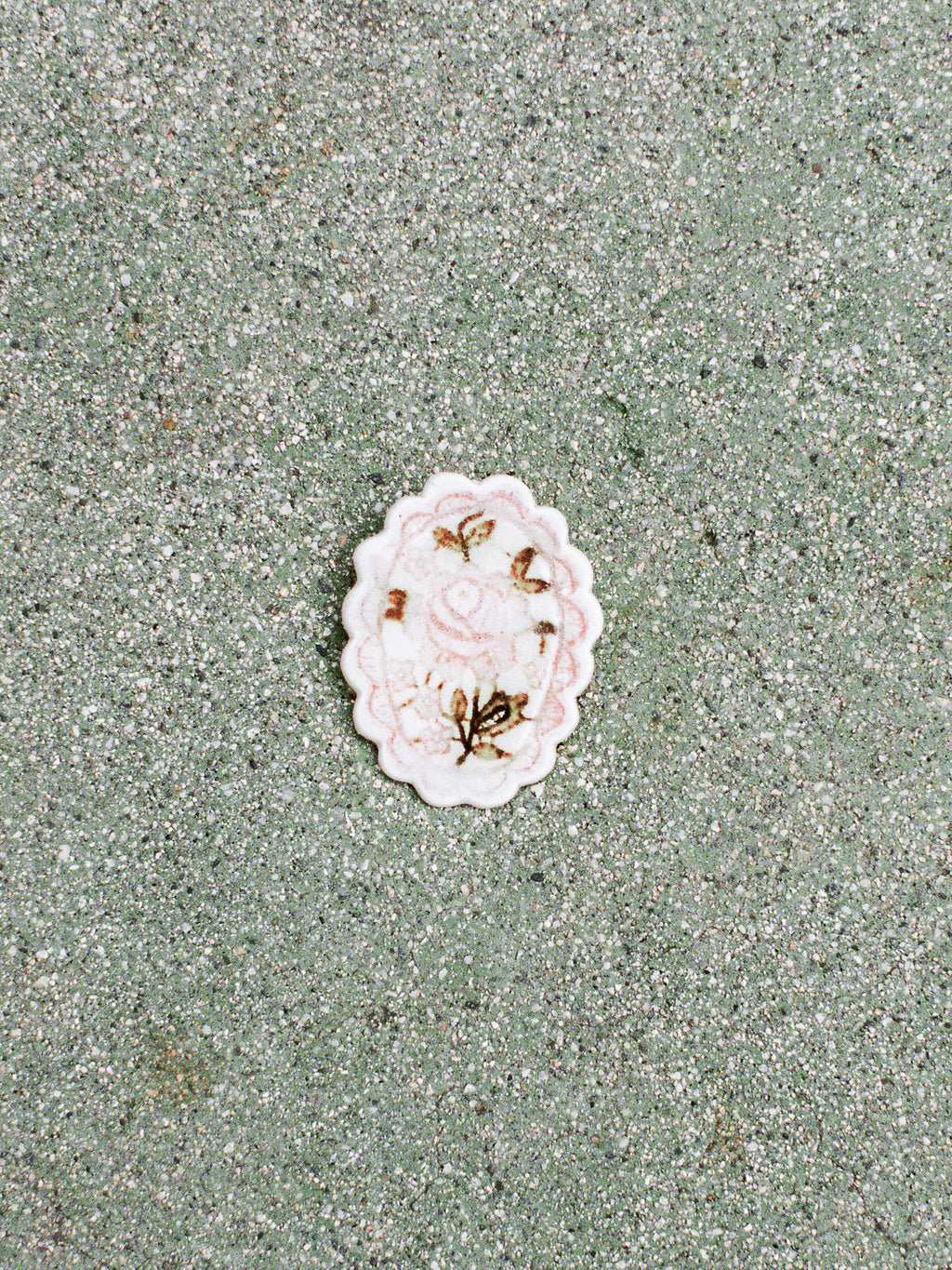 White shell with floral design on a textured green surface