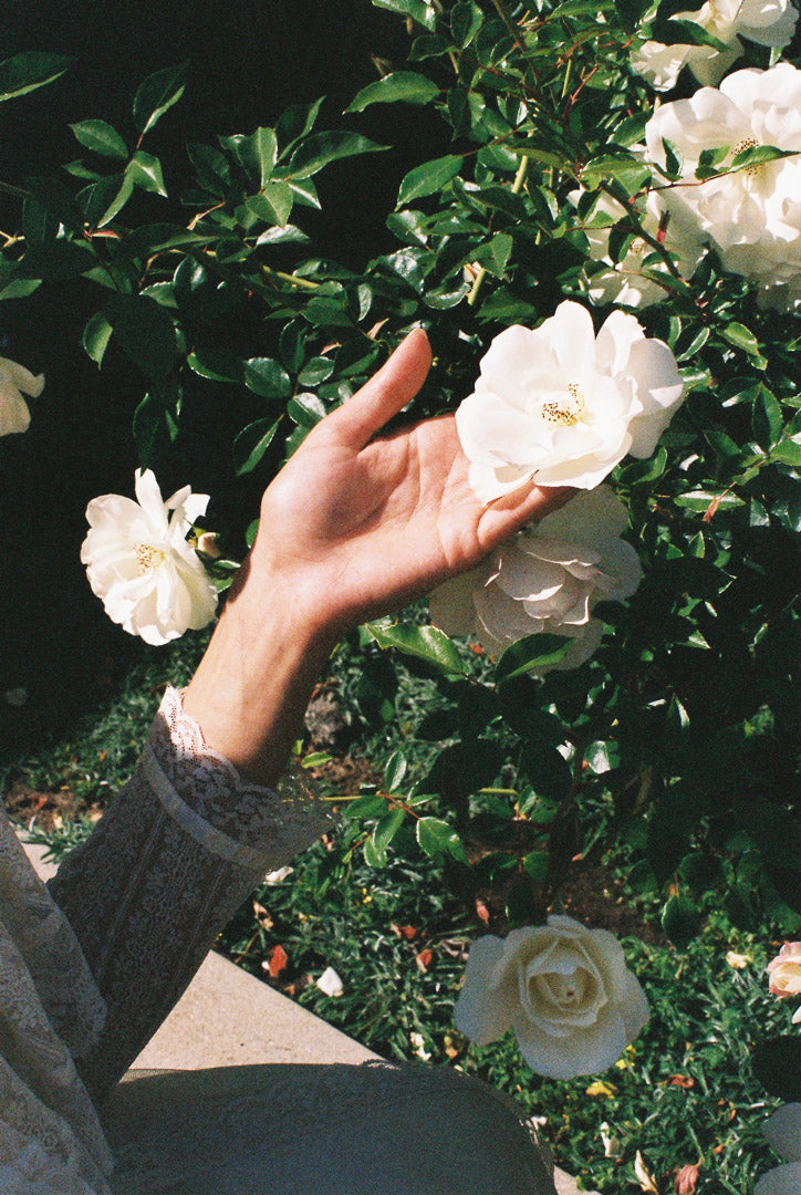 Hand reaching out to touch a white flower amidst green foliage